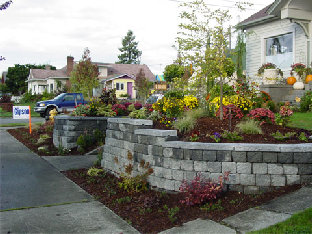Residential Front Yard